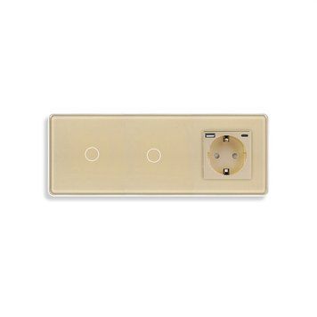 Сенсорний вимикач 2 сенсори (1-1) з розеткою з USB A+C 20Вт, із заземленням, шторки, ELIOS золото скло TW-101L101LGAC-GD2.5D фото